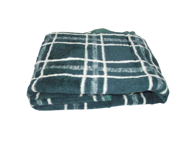 Plush Economic Blanket